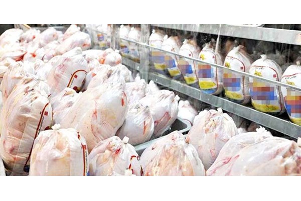 ذخیره سازی روزانه 10 تن مرغ در قم