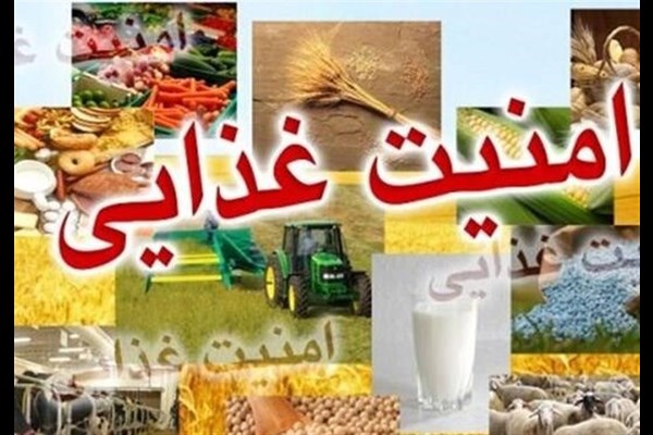  ضریب امنیت غذایی کشور به ۸۰ درصد رسید 