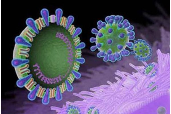 نتایج آزمایش اولیه دو مورد مشکوک به ابتلا کروناویروس، مثبت گزارش شده است/ آزمایشات برای قطعیت تشخیص در حال انجام است