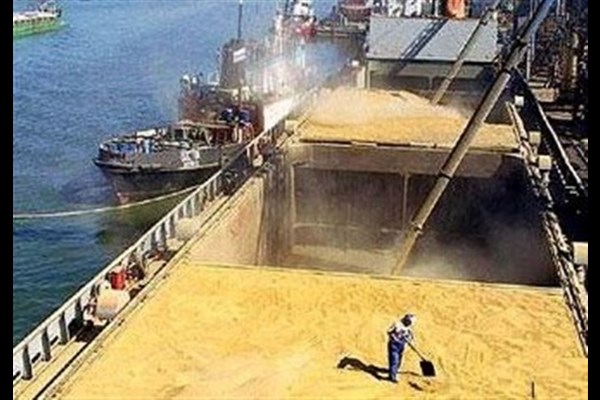  رشد ۳۶ درصدی واردات کالاهای اساسی در گمرک چابهار/ ۲۶۸ هزار تن گندم طی ۳ ماه وارد کشور شد 