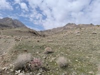 تصاویری از منطقه حفاظت شده پلنگ دره  قم در آستانه فصل بهار