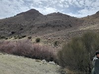 تصاویری از منطقه حفاظت شده پلنگ دره  قم در آستانه فصل بهار