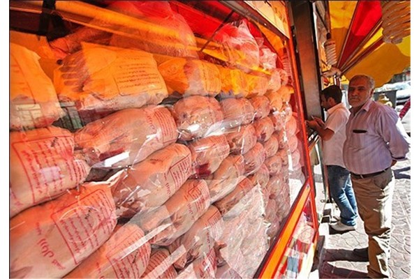  قیمت هر کیلوگرم مرغ در بازار به ۵۴ تا ۶۴ هزار تومان رسید 