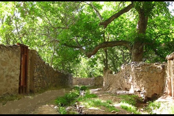 وشنوه تاریخ هزاره سوم و چهارم قبل از میلاد در قم/ بهسازی جاده وشنوه مشوق حضور گردشگران 