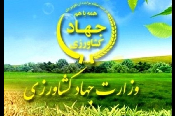 خرید تضمینی محصولات کشاورزی ۱۲۹ درصد افزایش یافت  