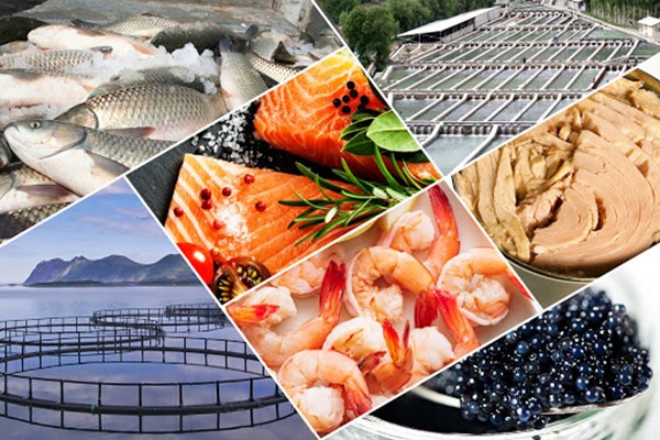 انتخاب قم به عنوان نمونه ملی پرورش دهنده ماهیان خاویاری در آبهای داخلی کشور 