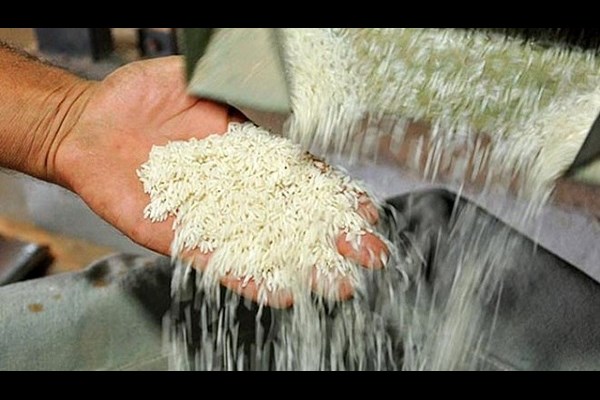 خروج برنج ایرانی از سفره ایرانی ها/برنج ایرانی هم لاکچری شد