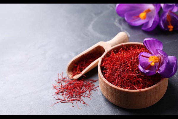 ارزآوری و ایجاد اشتغال با پرورش زعفران
