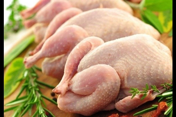  جریمه نقدی ۵۰۰ میلیون تومانی برای گران فروشی مرغ در فضای مجازی 