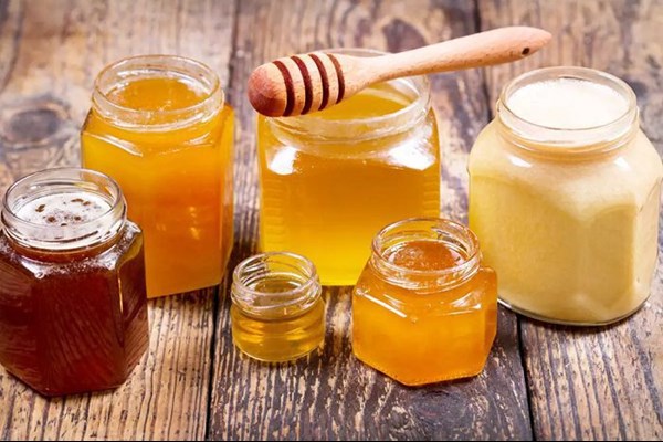  عسل؛ شهد حیات‌بخش طبیعت
