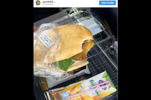 وعده غذایی فلافل در هواپیمای ایرانی / عکس