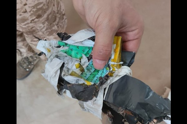سرنگونی ده‌ها ریز پرنده متجاوز در قم 