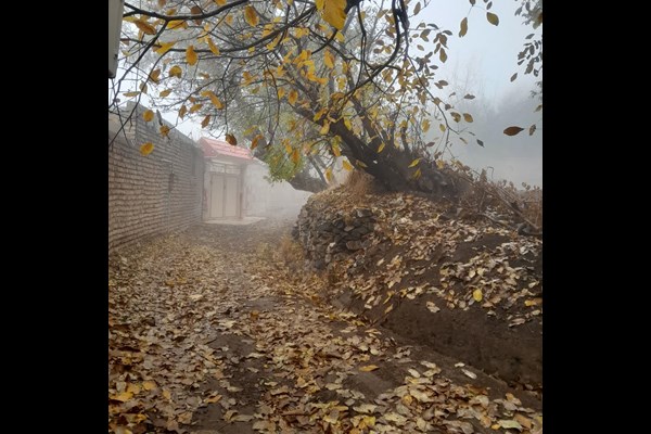 پائیز بهشتی روستای کرمجگان قم+ تصاویر 