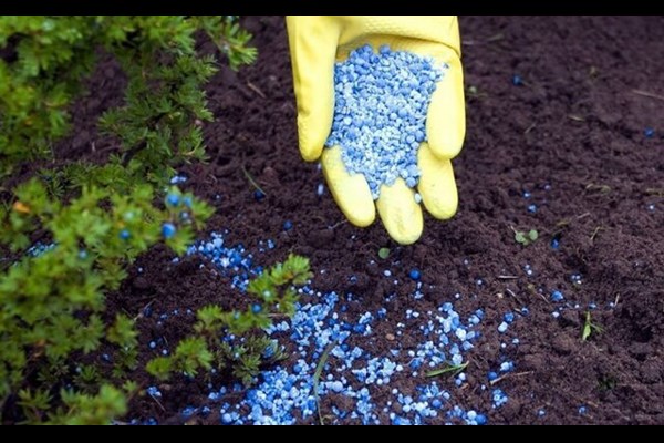  افزایش ۳۰ درصدی تأمین کودهای کشاورزی قم
