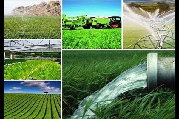اطلاع‌رسانی فناورانه باعث آگاه‌سازی کشاورزان می‌شود