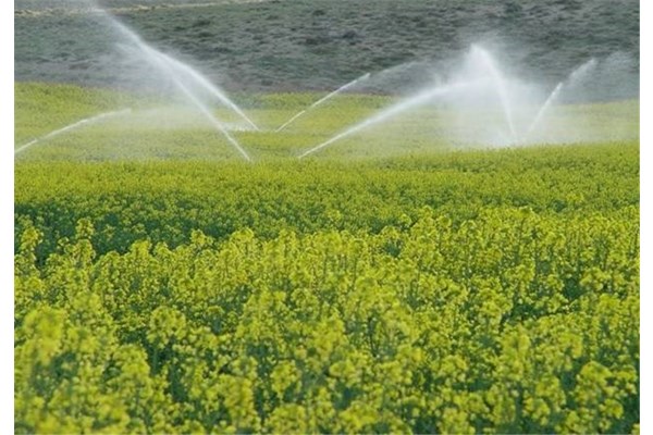 نجات کشاورزی قم با آبیاری مکانیزه