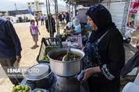 گلوگاه؛ شهر انجیرهای ایران
