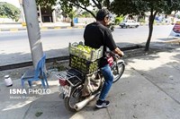 گلوگاه؛ شهر انجیرهای ایران