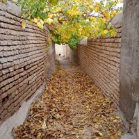 پائیز بهشتی روستای کرمجگان قم+ تصاویر 