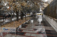 گزارش تصویری | بارش رحمت الهی در شهر قم