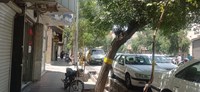 وضعیت قم کاملاً عادی است 