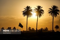 پیاده‌روی اربعین به روایت تصویر
