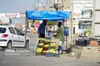 گلوگاه؛ شهر انجیرهای ایران
