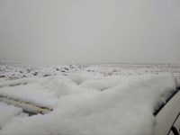 برف روستاهای قم را سفید پوش کرد