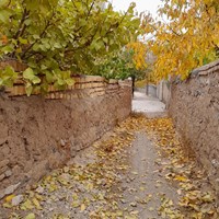 پائیز بهشتی روستای کرمجگان قم+ تصاویر 