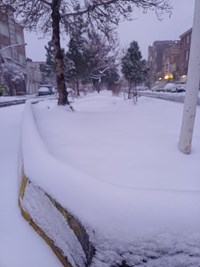 شهر قم هم روی برف را دید+ تصاویر