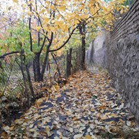 پائیز بهشتی روستای کرمجگان قم+ تصاویر 