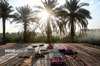 پیاده‌روی اربعین به روایت تصویر