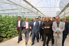  مراسم افتتاح پروژه هاي بخش کشاورزي هفته جهاد کشاورزي