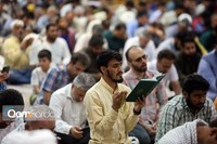 حرم بانوی کرامت در سالروز میلاد امام هشتم