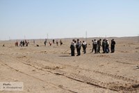 کاشت 2300 اصله نهال در منطقه سراجه استان قم 