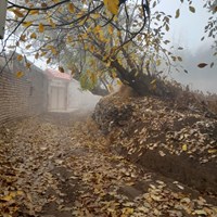 پائیز بهشتی روستای کرمجگان قم+ تصاویر 