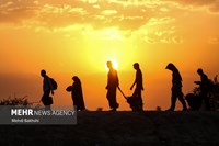 پیاده‌روی اربعین به روایت تصویر