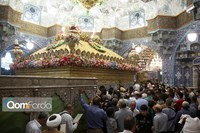 حرم بانوی کرامت در سالروز میلاد امام هشتم