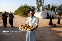 پیاده‌روی اربعین به روایت تصویر