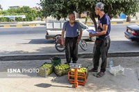 گلوگاه؛ شهر انجیرهای ایران