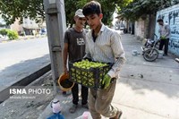 گلوگاه؛ شهر انجیرهای ایران