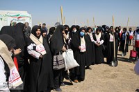کاشت 2300 اصله نهال در منطقه سراجه استان قم 